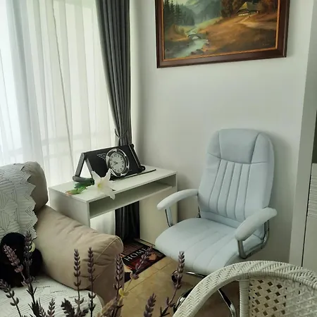 Beautiful Studio At Silver Springs Sunnybeach